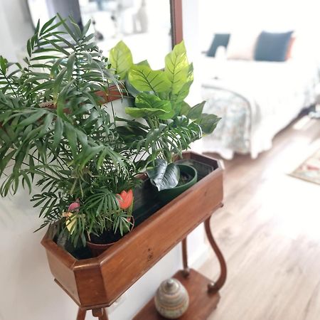 شقة Kyra House Centro فيجو المظهر الخارجي الصورة