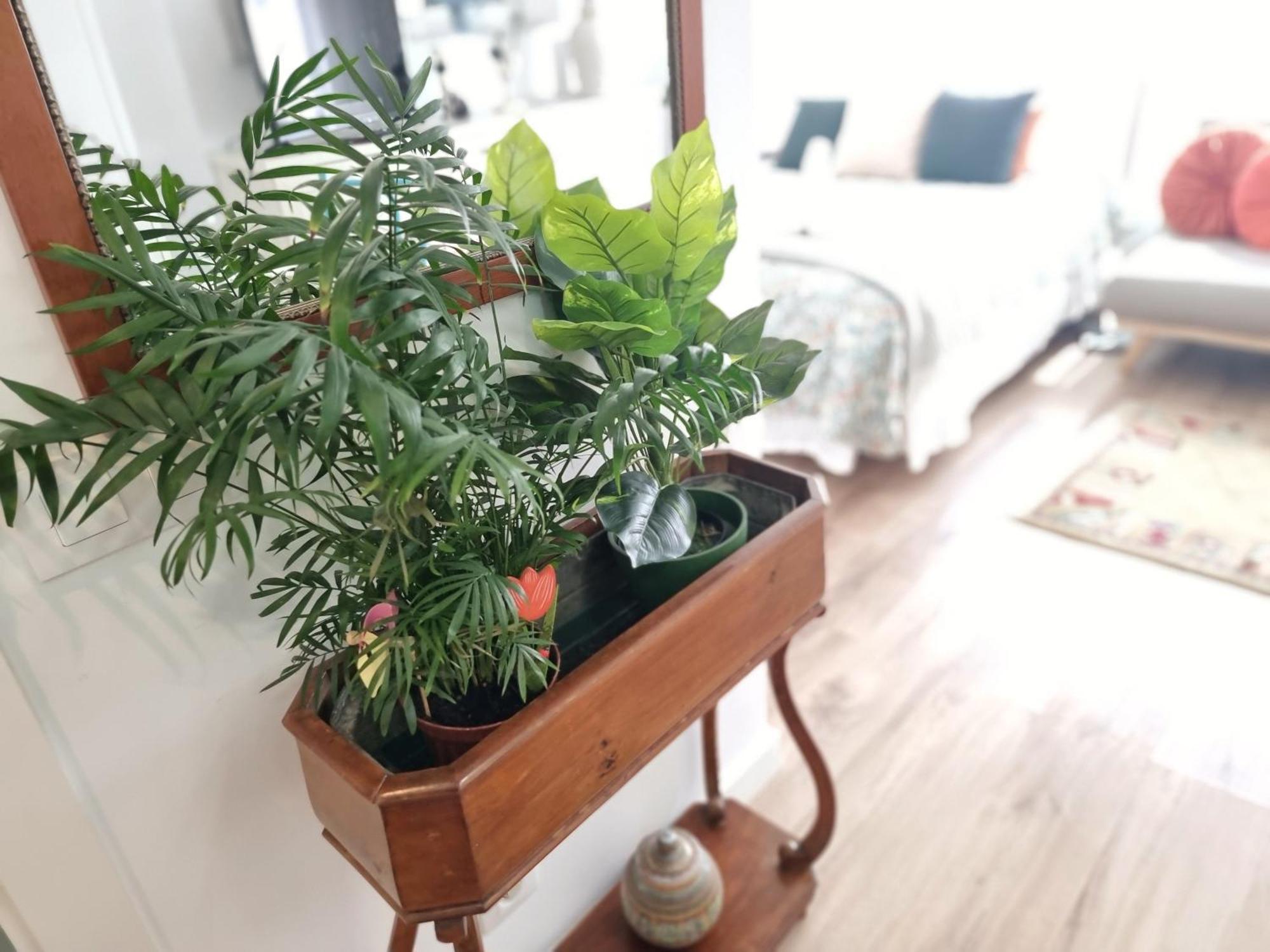 شقة Kyra House Centro فيجو المظهر الخارجي الصورة